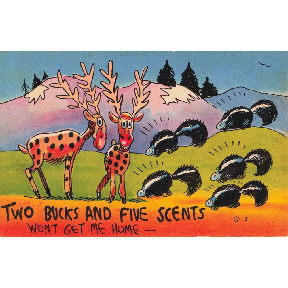 Vintage Two Bucks and Five Scents Humorous Animal Pun Linen Postcard Boston - Picture 1 of 2